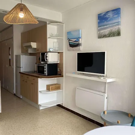 T1 Climatise Avec Cuisine Equipee, Tv, Lave-linge, Proche Centre - Fr-1-553-258
